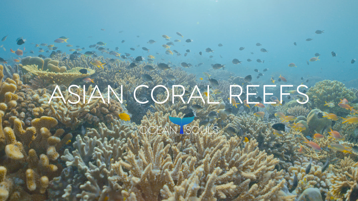 Asian coral reefs