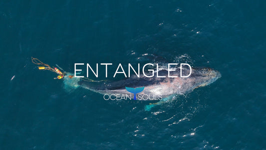 Entangled