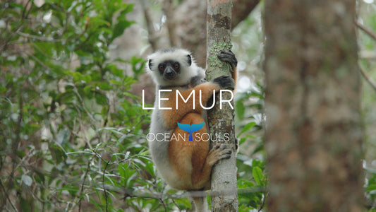 Lemur