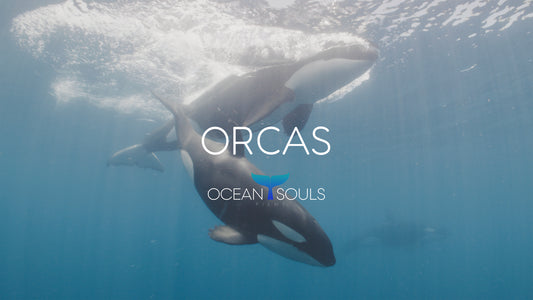 Orcas