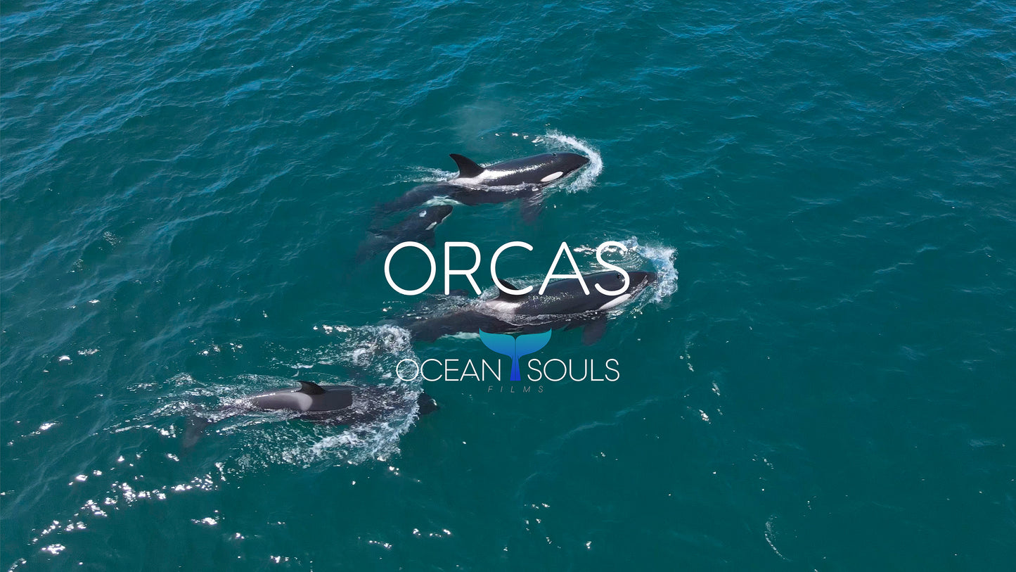 Orcas
